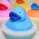 Ducky Cupcake blue